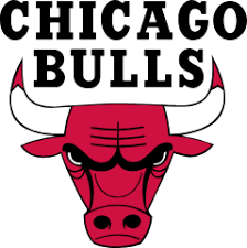 #8 Chicago Bulls image