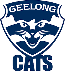 #95 Geelong Football Club image