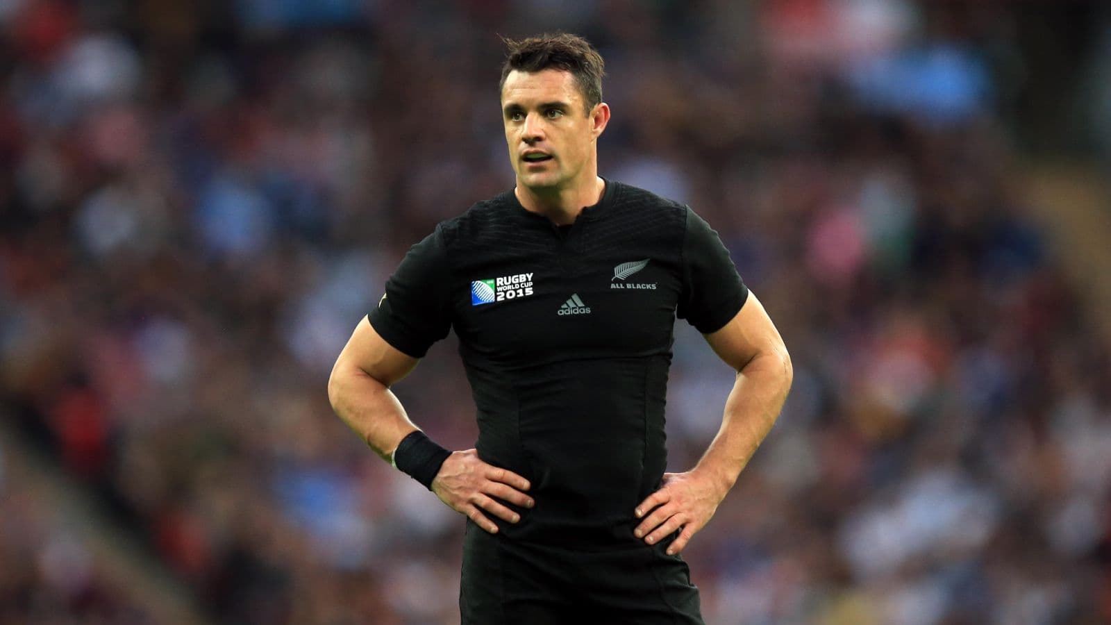 Dan Carter image